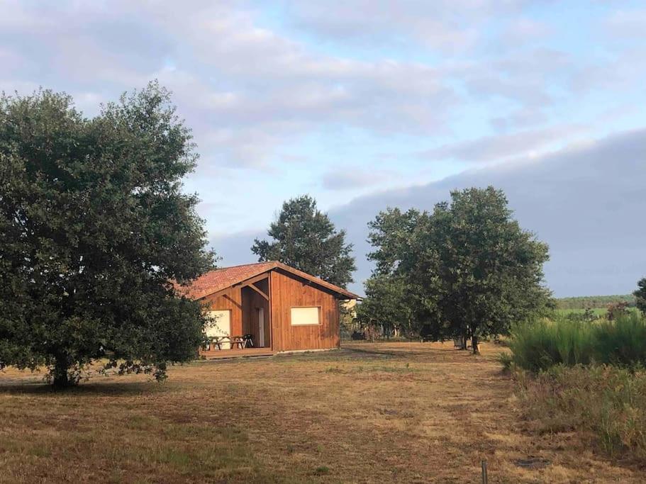 Chez Floflo Villa Rion-Des-Landes Exterior photo